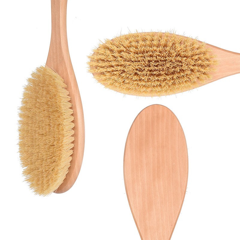 Long Handle Body Brush for Wet  Brushing - Gentle Exfoliating for Softer, Glowing Skin - Get Rid of Your Cellulite and Dry Skin 